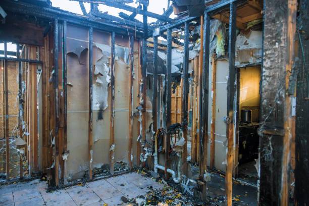 Professional Fire Damage Removal technician working in Jackson Center, OH